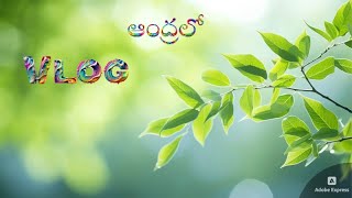 నా చిన్నప్పుడు నేను పెరిగిన ఊరు|| చాలా అందమైన ఊరు||maauruvligs