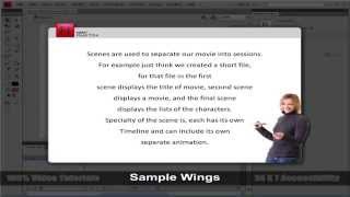 Flash CS4 Training Tutorial Videos
