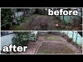 I spent 4 days cleaning her yard! Yard makeover with basic tools