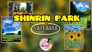 🌳Shinrin Park , Saitama Prefecture 🌳