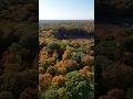 Fall, my favorite season, is in full swing in Chicagoland. From the west suburbs. #fall  #autumn