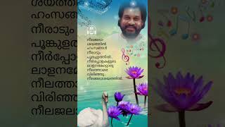 നീലജലാശയത്തിൽ ♥️♥️ neelajalaashayathil #atummer #bichuthirumala #yesudas #arsupersongs #shorts