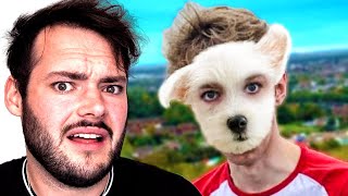 What if TommyInnit was a dog?