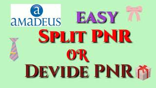 AMADEUS SPLIT PNR | Split PNR | How to do PNR Split in Amadeus | Devide pnr