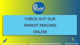 Parrot Perches \u0026 Bird Perches For All Types of Birds – All Parrot Products