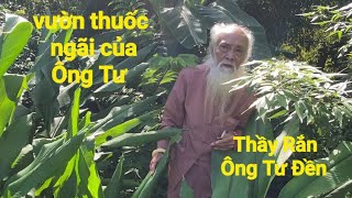 Thầy Rắn (Ông Tư Đền)toàn cảnh vườn thuốc ngãi của Ông Tư Và những câu chuyện hay