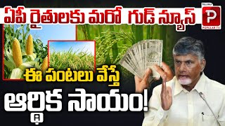 ఏపీ రైతులకు మరో  గుడ్ న్యూస్..| CM Chandrababu Naidu Good News To AP Farmers | Telugu Popular TV