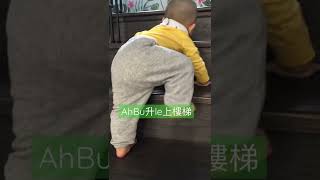 🤍AhBu第一次🤍上樓梯// 學爬樓梯 // 1 year old // 多倫多出世//加拿大生活//一歲BB // YouTube baby// 開心BB // Baby development