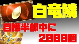 半額中に白竜鱗2000個集める　グラブルlive