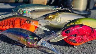 Winter Crankbait Fishing (Shallow And Deep) | Full Seminar