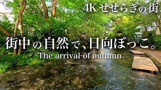 [4K/Babbling in the sun/Sound of water] Relax with the babbling of the Genbei River