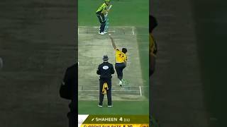 perfect revenge.🔥Shaheen shah Afridi vs wahab riaz.#youtube #youtubeshorts #ytshorts #cricket