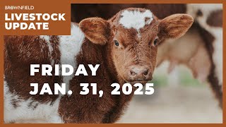 All cattle and calves down 1% on the year | Weekly Livestock Market Update