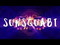 sunsquabi night moth