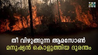 എന്തുകൊണ്ട് ആമസോണ്‍ മഴക്കാടുകള്‍ കത്തുന്നു|Reason Of Amazon Rain Forest Fire