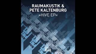 Raumakustik, Pete Kaltenburg - All Night Long (Original Mix)