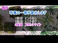 【脳トレ】アハ体験動画 3問）写真の一部が少しずつ変化するよ。ひまつぶし・脳トレにどうぞ！！