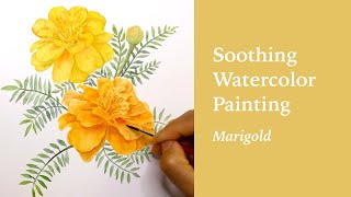 Soothing watercolor painting: marigold