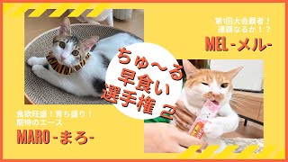 ねこりんぴっく☆第2回ちゅ〜る早食い大会☆勝者はどちらだ！？