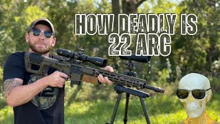 How Deadly Is A 22 Arc
