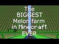 [4.200.000+] The biggest Melon farm EVER in Minecraft! 3143/s - 60 FPS