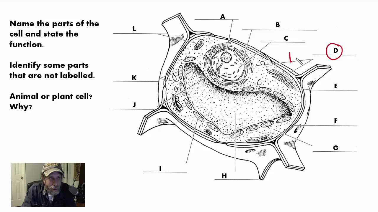 Deped Science Grade 10 Textbook Download
