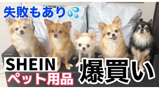 【チワワ親子】SHEINでペット用品たくさん買ったから正直に・・・