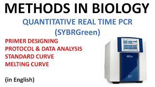 SYBR Green real time quantitative PCR (qPCR)