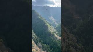 雲辺寺ロープウェイの登り車窓