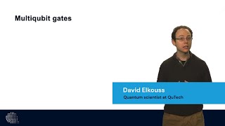 Multiqubit Gates