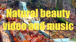 nature sound short |relaxing music sleep |meditation music relax mind body meditation for beginners