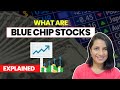 All about Blue chip stocks: Easy explanation