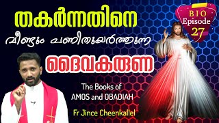 BIO 28 ദൈവത്തിന്റെ കരുണയും കാഠിന്യവും Amos and Obadiah BIBLE STUDY Fr. Jince Cheenkallel HGN