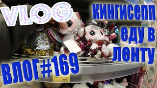 VLOG #169 Зима за городом | Еду смотреть Кингисепп | Лента / Влог