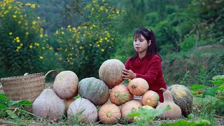 I planted a few pumpkin seeds in the spring, today I have a big pumpkin crop春天我種下幾顆南瓜籽，今天收穫一堆大南瓜