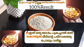 ✅Powerful Natural Mosquito Repellent/ 😱ഇത് ഒരു നുള്ളു മതി കൊതുക് വീടിന്റെ പരിസരത്തുപോലും വരില്ല