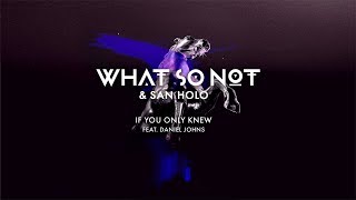 What So Not San Holo If You Only Knew...
