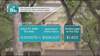 Understanding Your Property Tax Appraisal