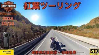 【紅葉のトンネル】志賀高原から切明温泉往復【Harley-Davidson Panamerica 1250Special】 【Insta360 ONE RS 1-Inch 360】20241021