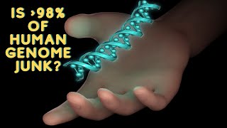 98% of the Human Genome: What Scientists Have Discovered Will Shock You! #cell #biology #dna