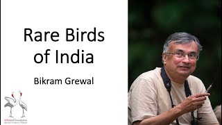 Delhibird Talks: Rare Birds of India (Bikram Grewal)