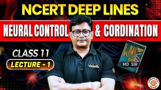 NEURAL CONTROL AND COORDINATION CLASS 11 | NCERT DEEP LINES | NCERT FOR NEET 2025 |ZOOLOGY BY MD SIR