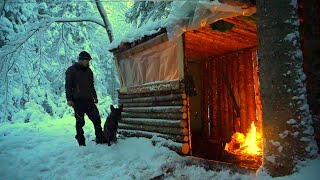 WINTER CAMPING THROUGH A BLIZZARD AT THE FORT IN THE WOODS WITH A DOG. Can we St
