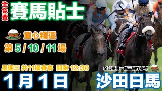 賽馬貼士 1月1日 大茶飯香港賽馬貼士,赛马贴士,賽馬貼士免費,香港赛马