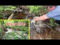 Unclogging Culvert Until It Blasts Water Out The Exiting End