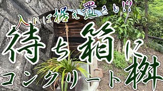 【ニホンミツバチ コンクリート桝巣箱台に待ち箱】入居すれば据え置きありかも