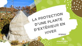 Protéger une plante extérieure en hiver