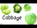 learn vegetables vocabulary with pictures english american pronunciation us names of 60 vegetables