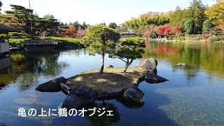 色着いた日本庭園 (国営昭和記念公園) TOKYO. 20241204.