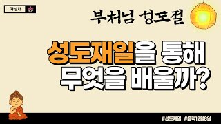 성도재일(成道齋日)의 세 가지 교훈 , 무엇을 깨달으셨을까?ㅣ성도절(음력12월8일)ㅣ깨달음ㅣ부처님오신날